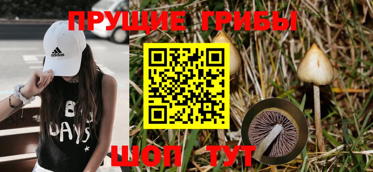 Галлюциногенные грибы ЛСД Новый Уренгой