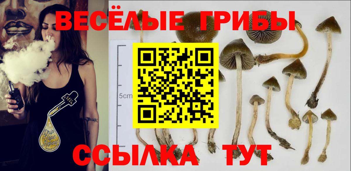 Новый Уренгой  Псилоцибиновые грибы MAGIC MUSHROOMS  Вход с VPN 